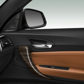 BMW 2 Serie Cabrio, portierpaneel BMW 2 Serie Cabrio, portierpaneel