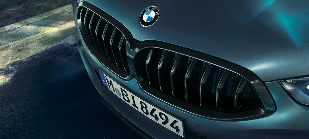 BMW M850i Coupé First Edition, BMW nierengrille Close-up van de BMW nierengrille van de BMW M850i Coupé First Edition