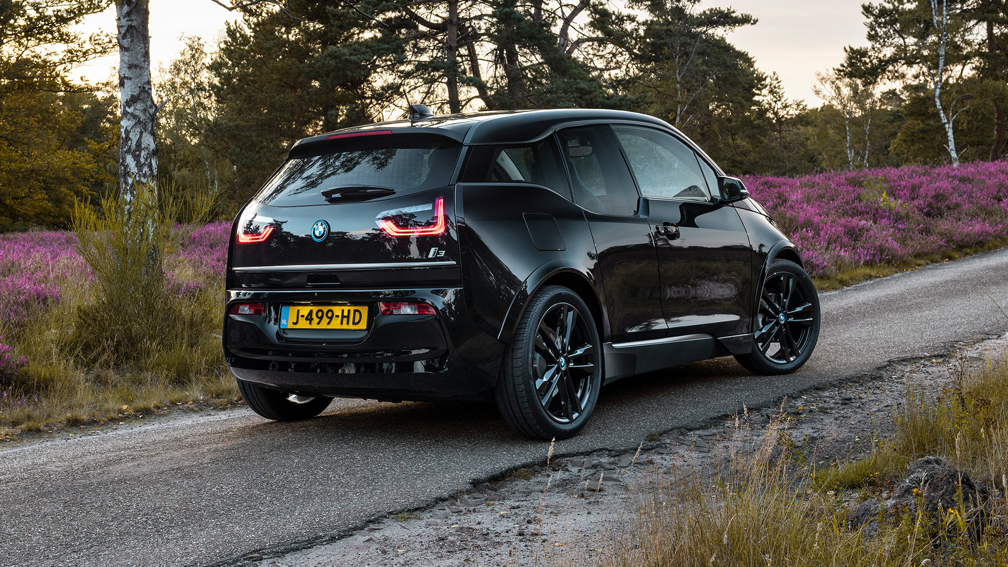 OOG VOOR NATUURLIJKE DETAILS. De BMW i3 is gebouwd met hernieuwbare grondstoffen zoals deze deurpanelen gemaakt van de vezels van de duurzame malveplant.