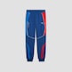 Puma BMW M Motorsport Regular Joggingbroek victoria blue